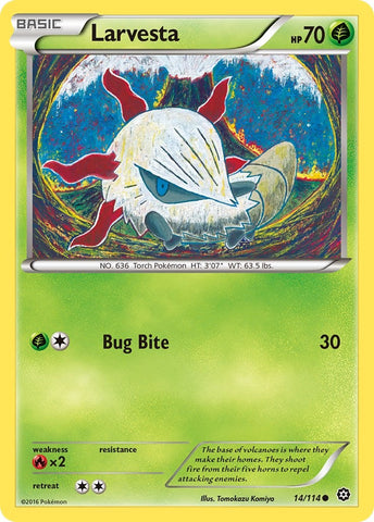 Larvesta [STS - 14/114]