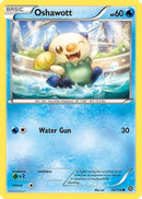 Oshawott 030  - Reverse Holofoil XY  Steam Siege - Common