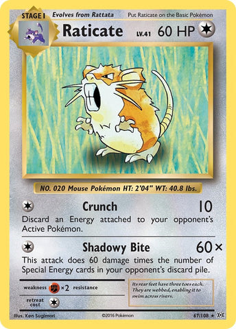 Raticate [EVO - 67/108]