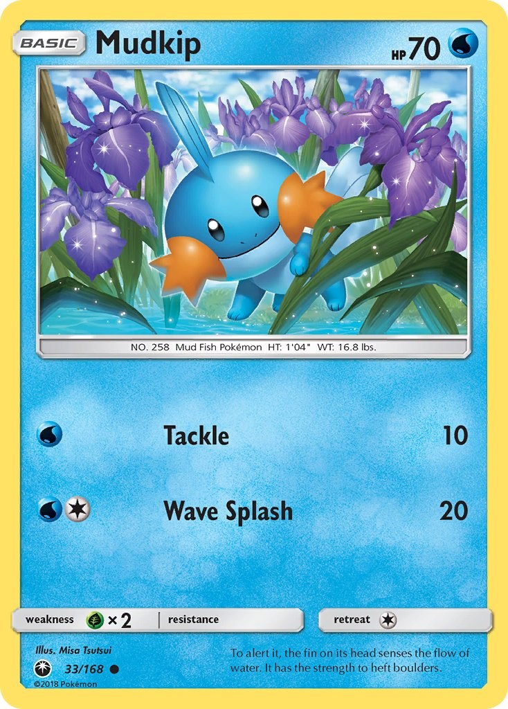 Mudkip (33) [33/168]