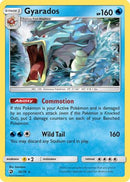 Gyarados 020/70  - Holofoil Dragon Majesty - Holo Rare