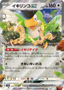 Squawkabilly ex - 154/190 (154/190) - SV4a Shiny Treasure ex