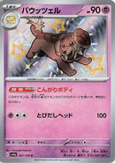 Dachsbun - 267/190 (267/190) - SV4a Shiny Treasure ex