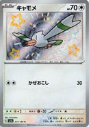 Wingull - 311/190 (311/190) - SV4a Shiny Treasure ex