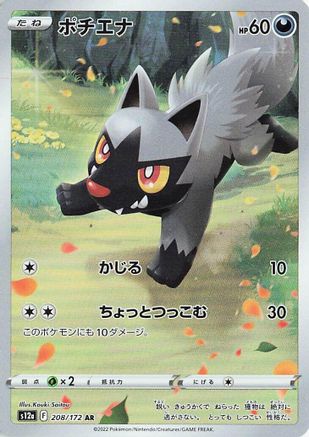 Poochyena - 208/172 (208/172) - S12a VSTAR Universe