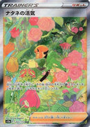 Gardenia's Vigor - 243/172 (243/172) - S12a VSTAR Universe