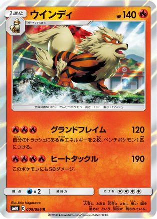 Arcanine (009/095) - SM10 Double Blaze