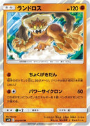 Landorus (052/095) - SM10 Double Blaze