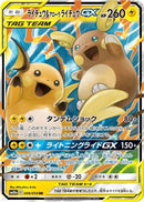 Raichu & Alolan Raichu GX - 008/054 (008/054) - SM10a GG End