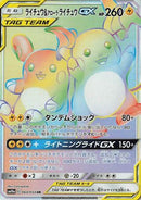 Raichu & Alolan Raichu GX - 064/054 (064/054) - SM10a GG End