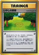 Healing Field  - Awakening Legends