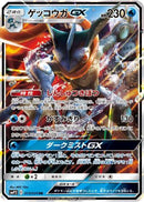 Greninja GX (013/024) - smP2 Great Detective Pikachu