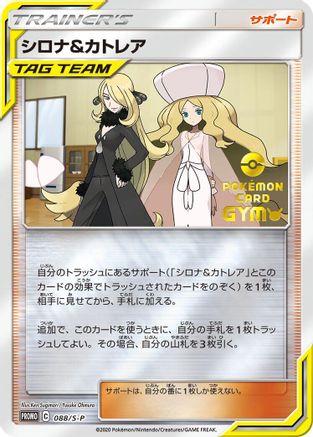 Cynthia & Caitlin - 088/S-P (088/S-P) - SP Sword  Shield Promos