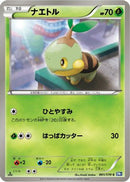 Turtwig (001/070) - BW7 Plasma Gale