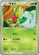 Treecko (003/051) - BW8 Spiral Force