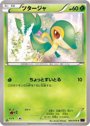 Snivy (005/078) - XY10 Awakening Psychic King
