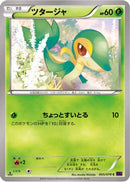 Snivy (005/078) - XY10 Awakening Psychic King