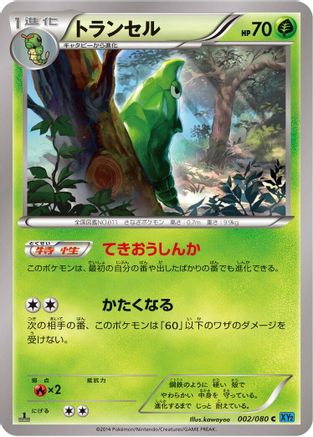 Metapod (002/080) - XY2 Wild Blaze