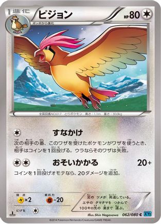 Pidgeotto (062/080) - XY2 Wild Blaze