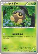 Seedot (005/080) - XY2 Wild Blaze
