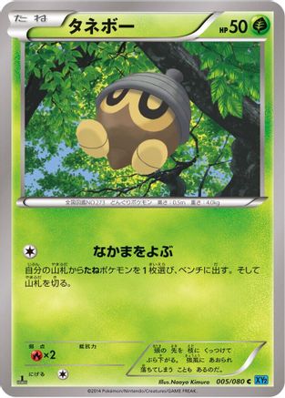 Seedot (005/080) - XY2 Wild Blaze