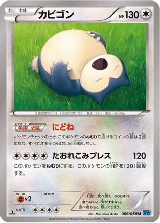 Snorlax (066/080) - XY2 Wild Blaze