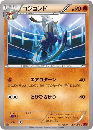 Mienshao (055/096) - XY3 Rising Fist