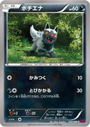Poochyena (052/088) - XY4 Phantom Gate