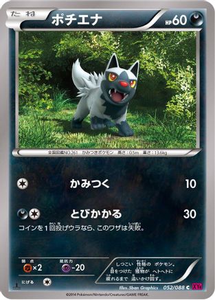 Poochyena (052/088) - XY4 Phantom Gate