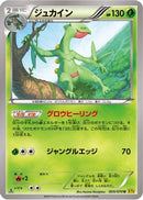 Sceptile - 005/070 (005/070) - XY5Bg Gaia Volcano