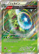 Sceptile - 006/070 (006/070) - XY5Bg Gaia Volcano