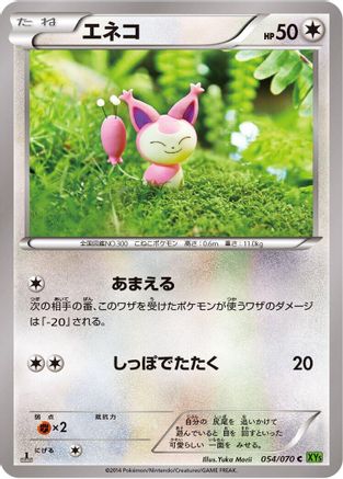 Skitty (054/070) - XY5Bt Tidal Storm