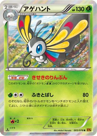 Beautifly (005/078) - XY6 Emerald Break