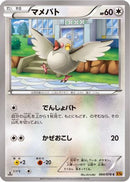 Pidove (064/078) - XY6 Emerald Break