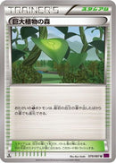 Forest of Giant Plants (079/081) - XY7 Bandit Ring