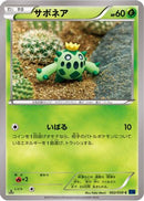 Cacnea (002/059) - XY8Bb Blue Shock