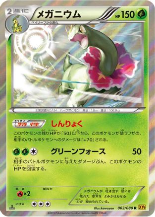 Meganium (003/080) - XY9 Rage of the Broken Heavens