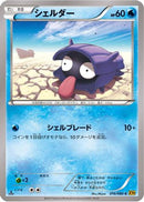 Shellder (016/080) - XY9 Rage of the Broken Heavens