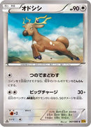 Stantler (067/080) - XY9 Rage of the Broken Heavens