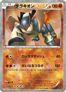 Terrakion (013/014) - BK Terrakion Battle Strength Deck