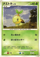 Turtwig  - DP1 SpaceTime Creation