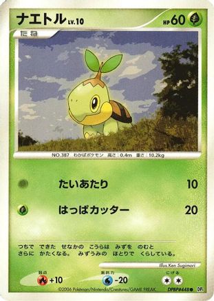 Turtwig  - DP1 SpaceTime Creation