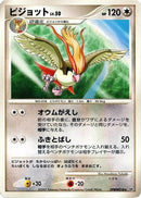 Pidgeot  - DP3 Shining Darkness