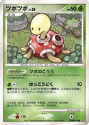 Shuckle  - DP3 Shining Darkness