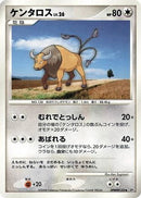 Tauros  - DP5 Cry from the Mysterious