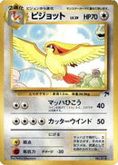 Pidgeot  - Southern Island
