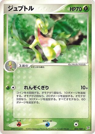 Grovyle (005/080) - Magma VS Aqua Two Ambitions