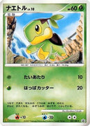 Turtwig - 027/DP-P (027/DP-P) - DPP Promotional cards