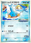 PokePark's Mudkip - 048/PCG-P (048/PCG-P) - PCGP Promotional cards