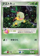 Turtwig (001/PPP) - PPP Promotional cards